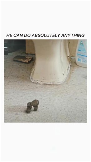 movie_zons on Instagram: "🎬 Title: Absolutely Anything 🎭 Genre: Comedy • Sci-Fi • Fantasy ⏱ Runtime: 1h 25m ⭐ Rating: 6.0/10 (IMDb) 📅 Release Year: 2015 ⸻ Overview: A regular London schoolteacher suddenly gets god-like powers to do absolutely anything — granted by aliens who want to see how humans use unlimited power. From turning his dog into a talking buddy to trying to fix his love life, chaos (and comedy) explodes everywhere. 🪐😂 ⸻ Why It’s Loved: 💫 Wholesome chaos meets British wit. 🐶