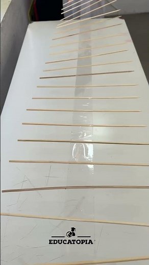 Wave motion experiment with Sticks