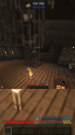 🧟A ZOMBIE BEAR 🐻 #minecraft #shorts #videogames