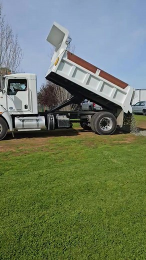 David Brenner on Reels