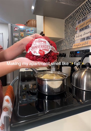 Fall isn’t over until AFTER thanksgiving in my book 🍂✨🦃 #fallrecipes #applepicking #fallcandles #thanksgivingrecipes