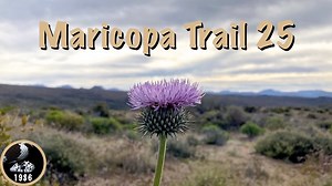 Maricopa Trail: Bartlett Dam Rd. to FR 1058