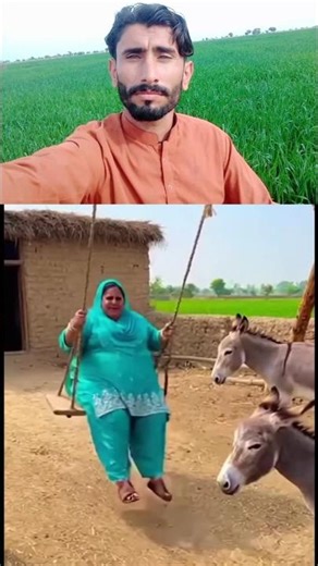 What happened to the woman hanging in the swing will make you laugh 😂