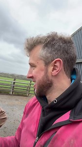 199K views · 3.8K reactions | “Two worlds collide” What’s a graip? Back me up!  | The Sheep Game | Facebook