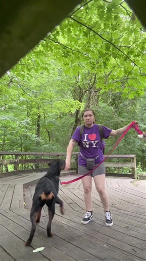 Hilarious and Adorable Dogs You Can't Miss