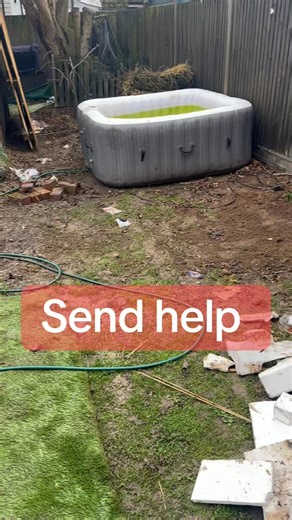 One step forward two steps back send help I’m sinking | Birdhalla Bird Sanctuary