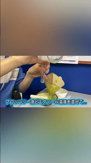 ブロッコリーのDNA抽出実験！ #ハイスタクラブ #小学生 #中学生 #学習塾 #実験教室