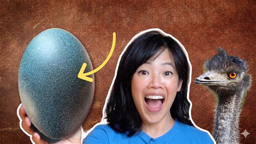 How to cook an emu egg