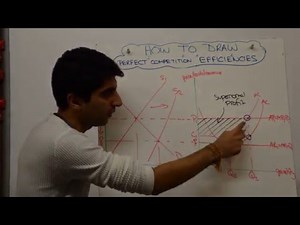 Perfect Competition Efficiency Analysis