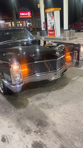 Took Mr Brown for a run this evening stretching his legs a lil bit | Dale Jackson Sr.