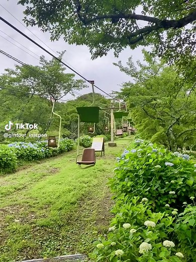 妙見の森 リフト #日本 #関西 #大阪 #兵庫 #妙見山 #妙見の森 #自然 #景色 #山 #山頂 #旅行 #リフト #紫陽花 #花 #椅子 #ケーブル #japan #travel #tour #tiktok
