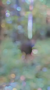 4.9K views · 104 reactions | Hunting Leases #deerhunting #huntingleases #HuntingLease | Outdoor Access, Inc. | Facebook