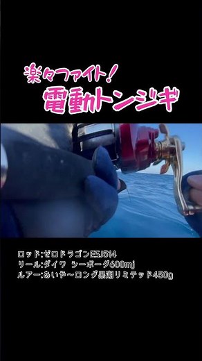 トンジギは電動に限る。らくらく浮いて来たマグロ。 #fishing #offshorefishing #トンジギ #マグロ釣り #ジギング #電動ジギング