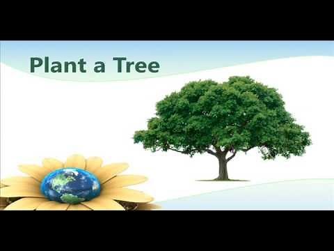 10 Simple Steps to Save our Environment! -Hamilton County Public Health