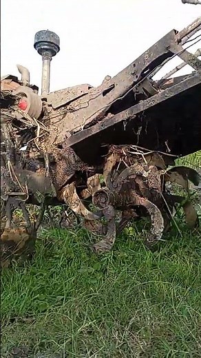 bos gayuz selalu ready #tanitakberdasi #120