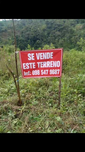 Limón: lindos lotes de venta en El Progreso | RADIO LIMON