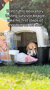 97K views · 5.3K reactions | Watch this laboratory testing survivor...