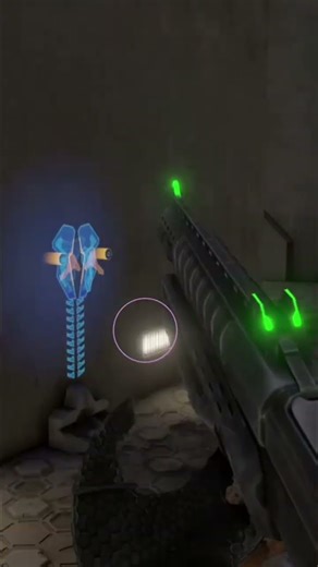 Halo 2 Anniversary Monty Python reference #halo2anniversary #halomcc #montypython