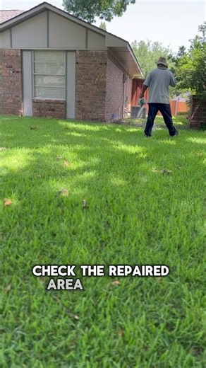 Sprinkler Repair Done? Don’t Skip This Test | Allen, TX #sprinklersystem #irrigationsystem