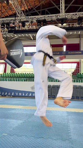 Kukkiwon Taekwondo Demonstration Team Tornado Kick ASMR