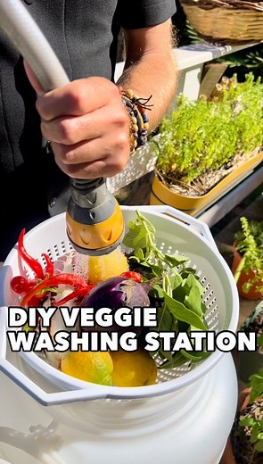 DIY Vegetable Washing Station 🌿🚿 to collect & reuse Water for your garden. Water is precious, let’s save it more! #water #gardening #diyprojects | Thefrenchiegardener