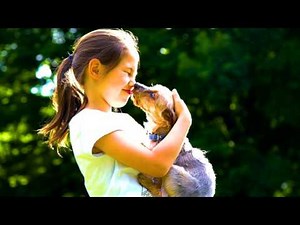 DOGTV: New Programming Season