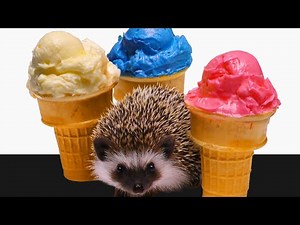 How to Make Ice Cream Cone Cupcakes - Birthday Cake