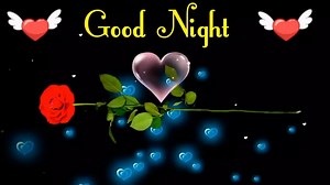 Flattened Poop on Instagram: "Good Night"