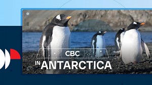 CBC in Antarctica