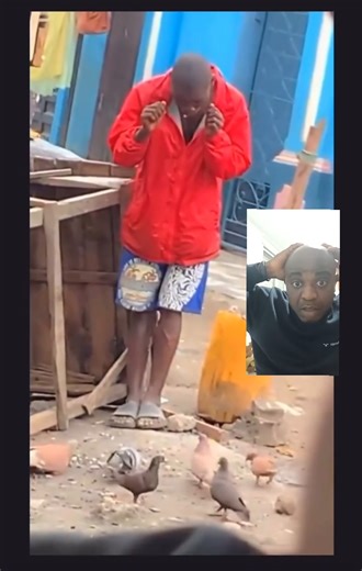 Everything have pattern professional catcher #comedy #lifelesson #freeitems | Ten Ten | Facebook