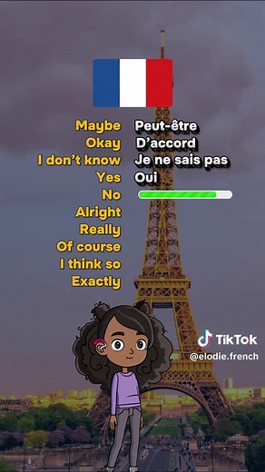 Learn French Basics: A Beginner's Guide 🇫🇷