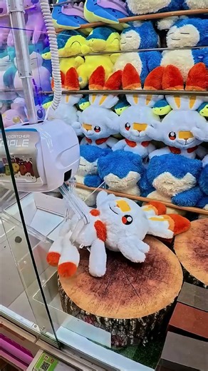 A Wild Scorbunny Appeared! #pokemon