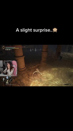 Highlights from My Elden Ring Stream!