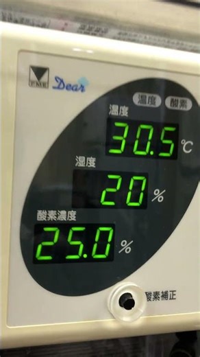 ⑤Treatment of Kuromame-chan, a Japanese Java sparrow, with warmth, moisture and oxygen therapy in...