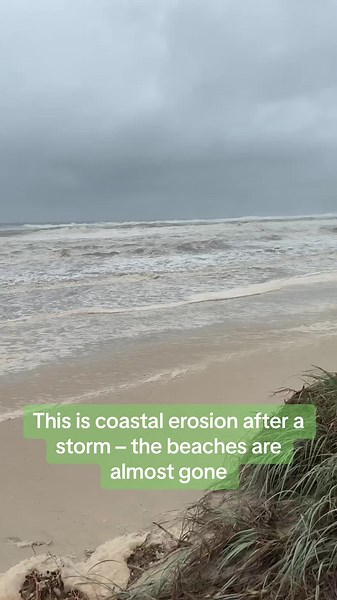Coastal Erosion After Cyclone Alfred: Impact on Beaches