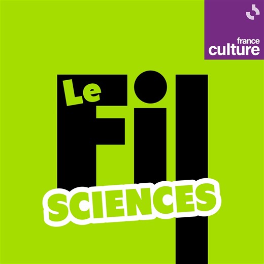 Comment l'usage du feu a modifié le destin de l'humanité