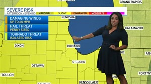 Severe Weather Hits Chicago Area, With Wind Damage and Heavy Rain Reported