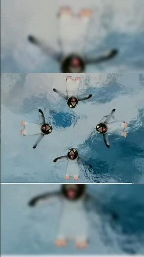 elmo world penguins imagination