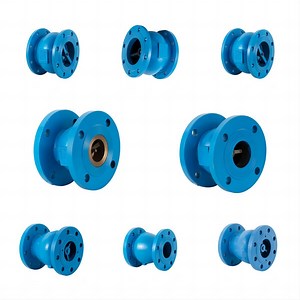 [Hot Item] Nozzle Check Valve Ductile Iron Double Flanged Spring Loaded Silent Check Valves for Pump Pn16