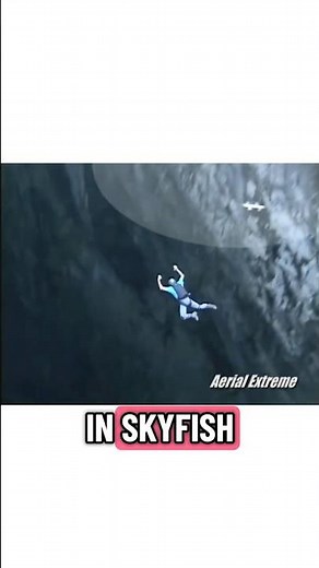 The Mystery of Sky Rods: Real Creatures or Optical Illusion? | Unexplained Sky Phenomenon