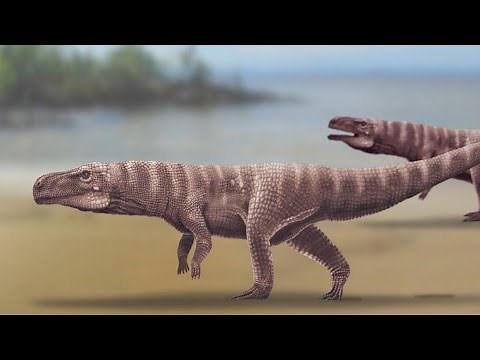 Ancient Crocodiles Walked on Two Legs, Fossil Footprints Reveal