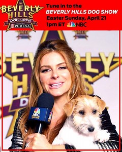 Tune in to The Beverly Hills Dog Show presented by Purina tomorrow at 1pm ET on NBC! Celebrity guests & pet stars agree— this is a can’t-miss event! See who takes home the title of Best in Show this Easter Sunday.🐕🐩 | Purina