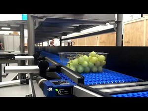 Multi Tier Modular Packing Lines - 4 Tier Split Conveyor and Weighers