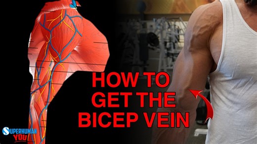 Get a visible bicep vein using proven vascularity techniques
