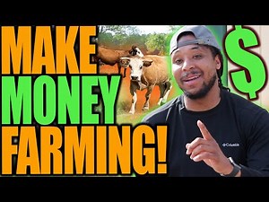 How to MAKE MONEY Farming! 3 ways to MONETIZE your Small Profitable Farm!