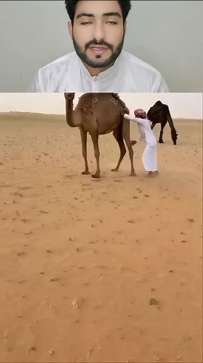 10K reactions · 32 shares | Rich vs poor people in Dubai | Here Chand 450 | Facebook