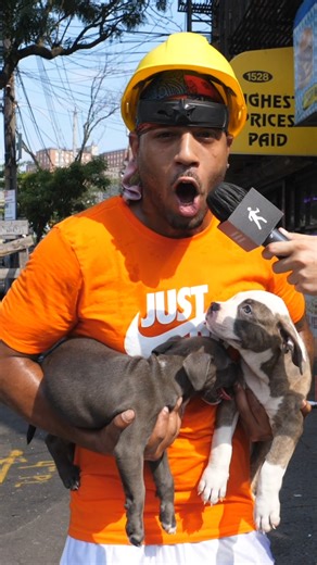 898K views · 20K reactions | BING BONG  | Sidetalk | Facebook