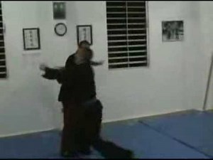 Advanced Kajukenbo Self-Defense System (A.K.S.D.S.) KAJUKENBO KOSHO RYU