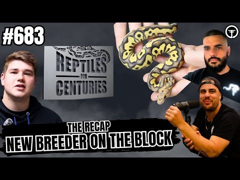 Truth About The Ball Python Market & Where Things Are REALLY Headed | The Recap NBB Live