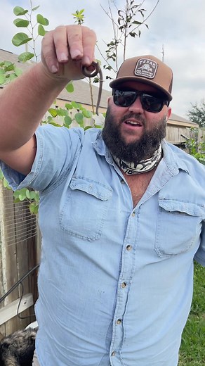 Beneficial Garden Snakes! *Never pick up and handle a snake like this unless you can positively identify it and know how to handle them. Many snakes that are young can be misidentified and can harm you. | Texas Garden Guy